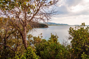 Tuscany 'nin Grosseto ilindeki yeşil ormanlarla çevrili Tırren Denizi koyundaki Cala Violina plajının manzaralı manzarası yakınında yüzen iki yaht.