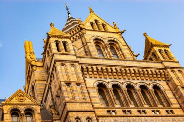 Londra, Birleşik Krallık - 15 Eylül 2017: Londra 'daki Doğal Tarih Müzesi' nin ünlü ortaçağ binası