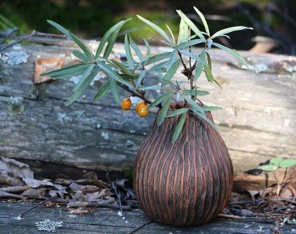 Orman vazo seabuckthorn sonbahar bahçesinde bir dalı ile