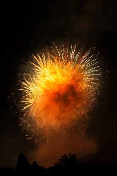 Final Bouquet Fireworks July — Stock Photo, Image