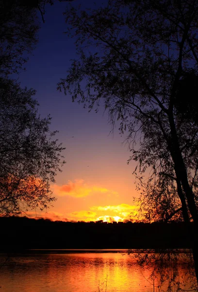 Pôr Sol Lago Com Árvores Silhueta Céu Escuro — Fotografia de Stock