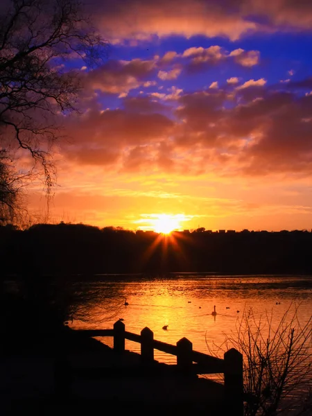 Silhouette Der Seebrücke Ufer Mit Bäumen Und Einem Schwan Der — Stockfoto