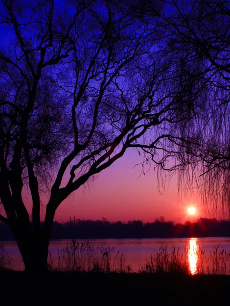Wunderschöner Sonnenaufgang Rosa Und Lila Tönen Über Einem See Einer — Stockfoto