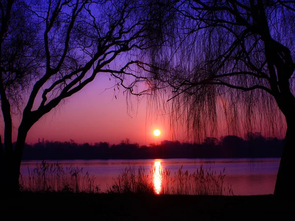 Sanfte Landschaft Mit Einem Rosa Und Violetten Sonnenaufgang Über Einem — Stockfoto