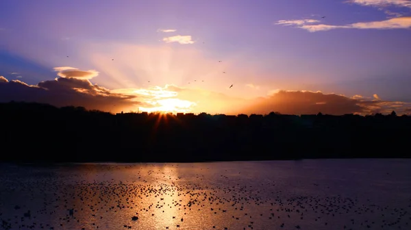 Sehr Heller Sonnenuntergang Einem Klaren Himmel Mit Schönen Wolken Möwengruppe — Stockfoto