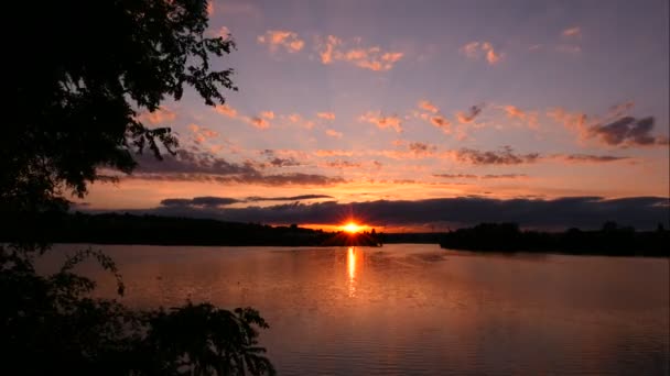 令人惊奇的落日在湖面上的时间消逝了 美丽的风景与植被的轮廓在前景中 天鹅在水面上的通过 天空中的积云 — 图库视频影像
