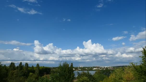 Czas Upływa Białe Chmury Cumulonimbus Które Paradują Niebieskim Niebie Nad — Wideo stockowe