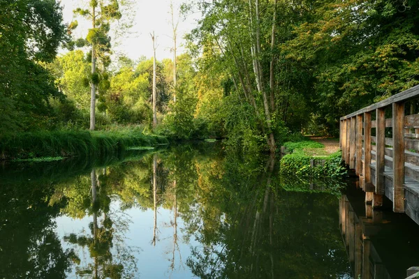 Symmetry of wooden bridge in the middle of the forest. Bridge in nature above the water in summer or spring.