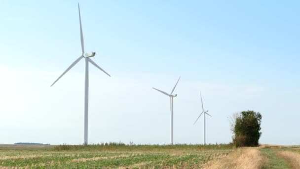 Saclas Frankreich September 2020 Struktur Die Mit Dem Wind Strom — Stockvideo