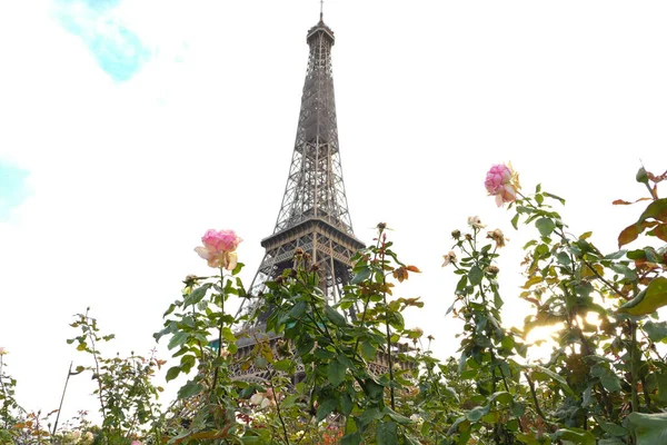 Παρίσι Γαλλία Οκτωβρίου 2020 Πύργος Του Άιφελ Ένα Μέρος Δημοφιλές — Φωτογραφία Αρχείου