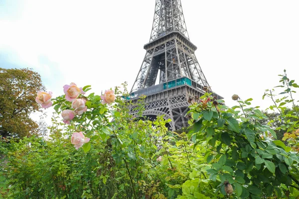 Paris France October 2020 Eiffel Tower Place Popular Tourists All — Stock Photo, Image