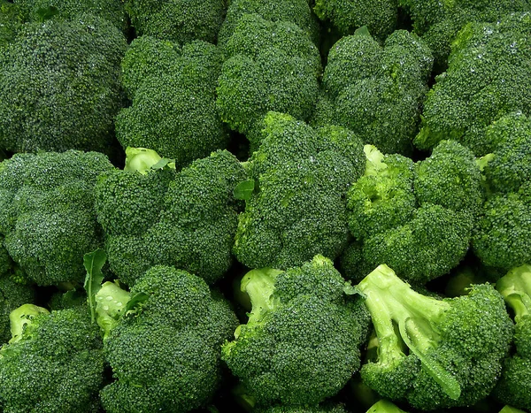 Broccoli is an edible green plant in the cabbage family