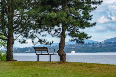 Pasifik okyanusu körfezinin kıyısında bir bank ile dinlenme yeri