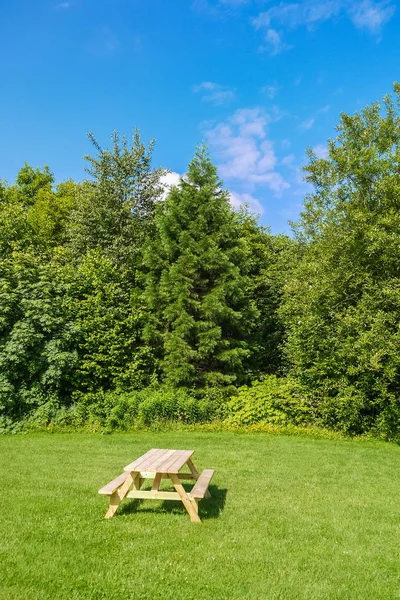 Picnic area with wooden table on green lawn in a park