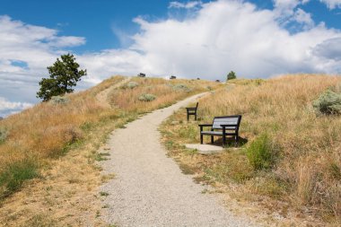 Tepeye giden bir dağ yolu boyunca boş banklar.