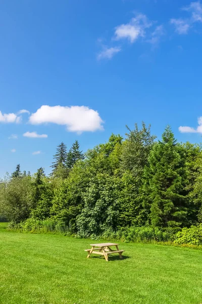 Picnic area with wooden table on green lawn in a park