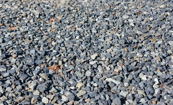 Pedras de cascalho textura fundo com profundidade rasa de campo . — Fotografia de Stock