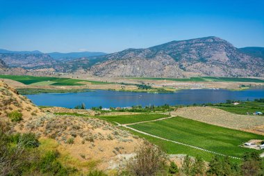 Yerleşim alanı ve meyve bahçesi ile Okanagan vadisi panoramik görünümü