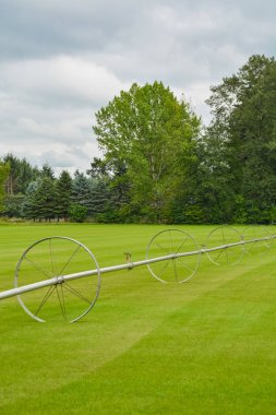 Bulutlu yaz gününde alan üzerinde sulama sistemi ile yeşil çim