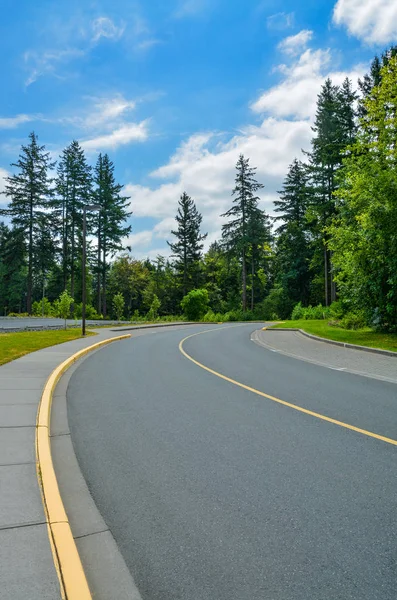 Curva de estrada de asfalto que conduz à floresta . — Fotografia de Stock