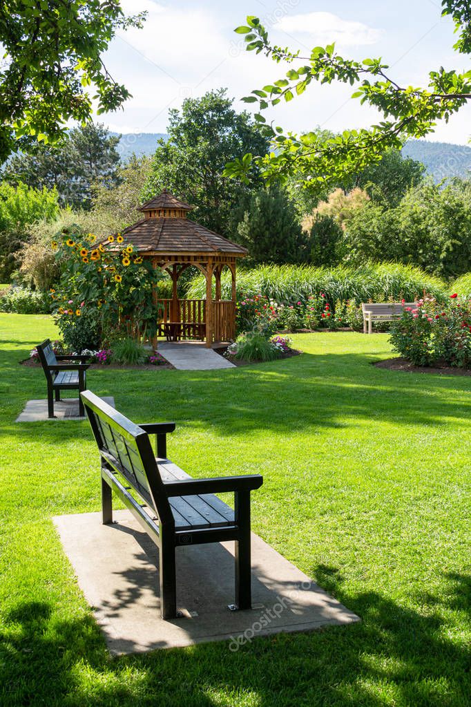 Recreation area in a park with benches and gazebo under blossoming sunflowers