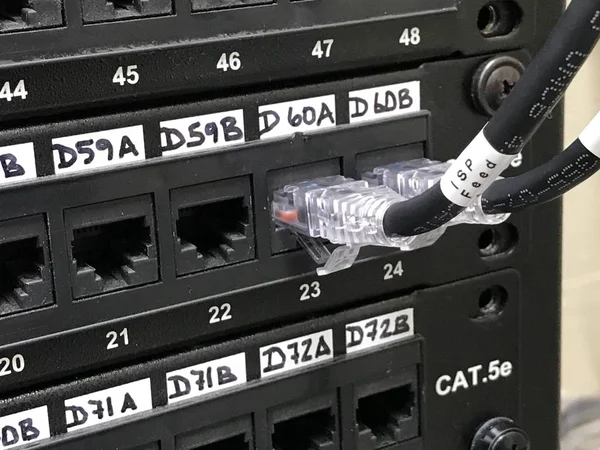 Kabel ethernet yang terhubung ke port pada panel patch bernomor — Stok Foto