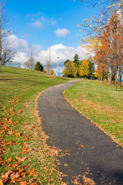 Sonbahar sezonunda bir parkta güneşli yürüyüş yolu