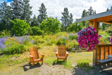 Ahşap sandalye ile Arka bahçe ve güneşli bir günde döken.