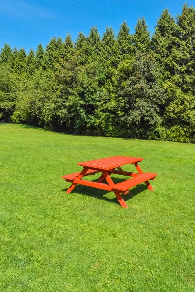 Rastplats med rött picknickbord på grön gräsmatta i en Park. — Stockfoto
