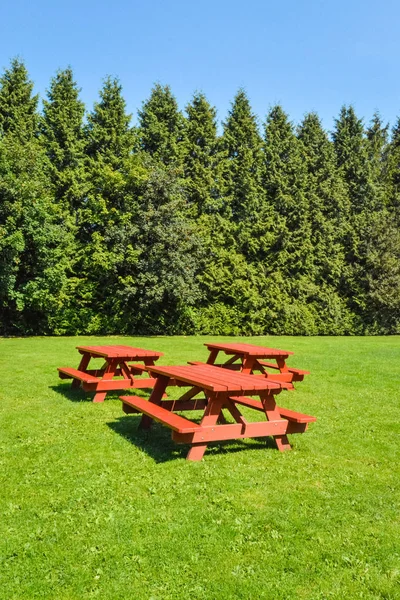 Rastplats med röda picknickbord på grön gräsmatta i en Park. — Stockfoto