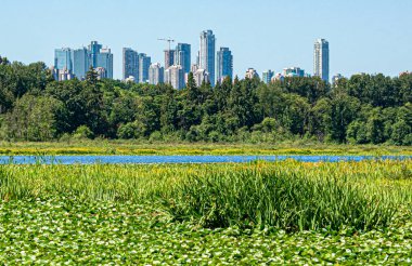Doğa koruma alanı üzerindeki kentsel bölge manzarası.