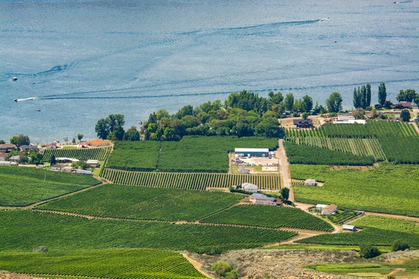 Přehled krajiny s farmáři přistát u jezera Okanagan v letní den — Stock fotografie