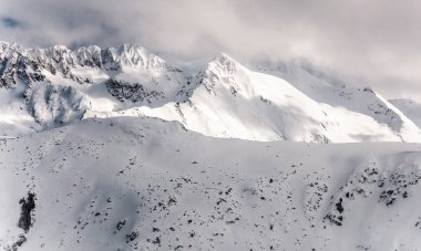 Kış Alpleri 'nin karla kaplı arka planında görkemli bir arazi ve karla kaplı ağaç dokusu var. Bansko, Bulgaristan