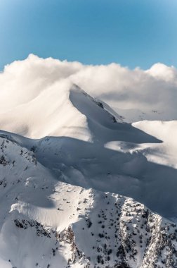 Kış Alpleri 'nin karla kaplı arka planında görkemli bir arazi ve karla kaplı ağaç dokusu var. Bansko, Bulgaristan