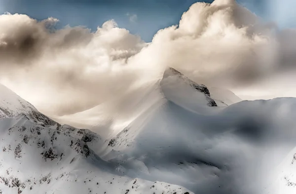 Winter alpinen Schneegipfel Hintergrund mit bergigem Gelände und schneebedeckten Bäumen Textur. Bansko, Bulgarien — Stockfoto