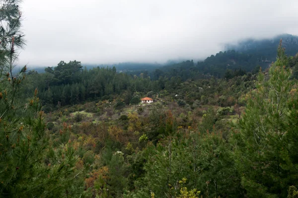 Lonely White House i Green Mountain Jungle, Turkiet — Stockfoto