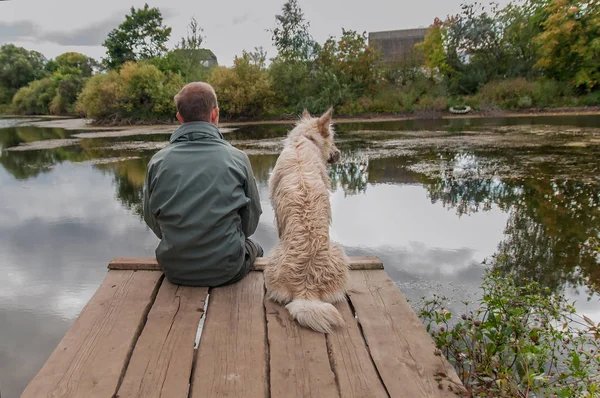 Человек и собака сидят на старом деревянном пирсе и смотрят на озеро — стоковое фото