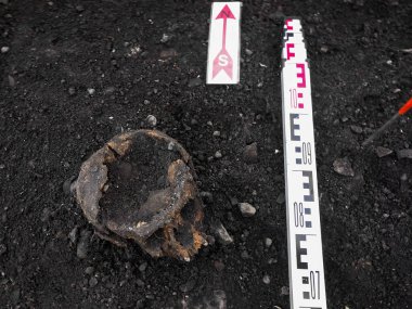 Kafatası ile arkeolojik kazı hala yarım gr gömülü