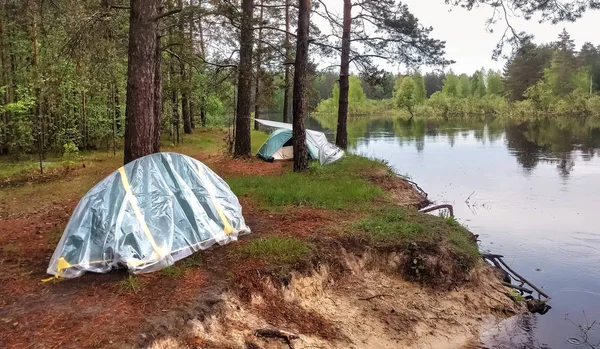 Tenda campeggio nella bellissima foresta vicino al paesaggio fluviale — Foto Stock