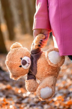 Sonbahar ormanda bir oyuncak ayı tutan Closeup güzel kız