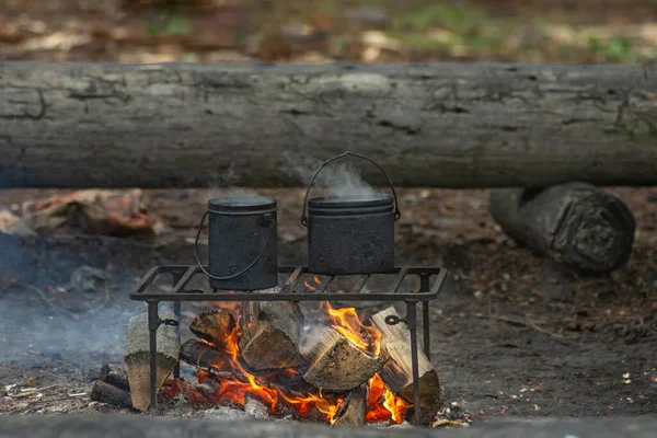 food is cooked on a fire in the woods in a pot with smoke and flame. concept of barbecue picnic