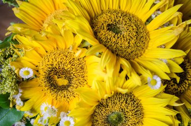 Mulltilobe sarı küçük beyaz papatya bir buket ile ayçiçeği.