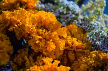 Turuncu ve mavi çiçekler Buket yakın çekim