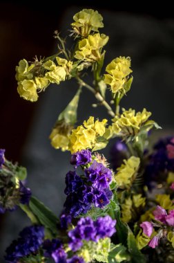 Yaz çiçek buket kapatın