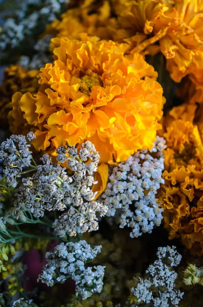 Fleurs Oranges Bleues Dans Bouquet Gros Plan — Photo