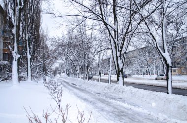Karlı sokak şehir. Kış ağaçlar. Kentsel peyzaj