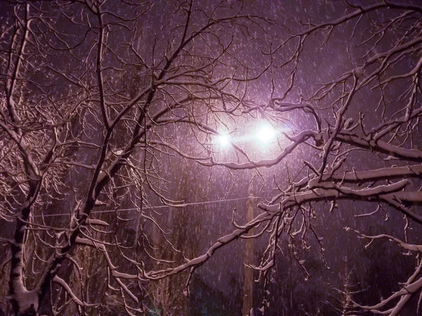 冬夜城市与降雪 冬天树笑脸看法 — 图库照片