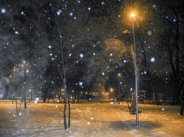 Öde Park Vinter Natten Snöfall Natten — Stockfoto