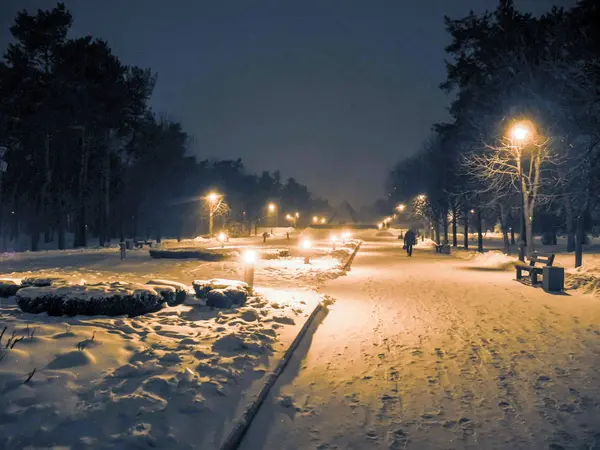 晚上的冬季公园 降雪和橙色灯 — 图库照片