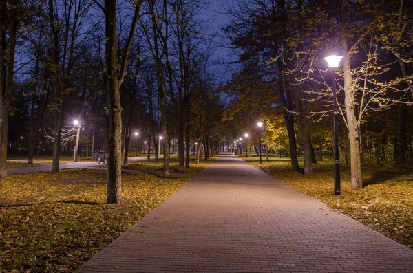 Chodnik Nocy Lesie Parku Świecące Latarnie Krajobraz Parku Noc — Zdjęcie stockowe